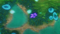 Mushroom Planet
