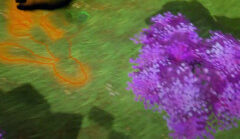 Plants Coloring
