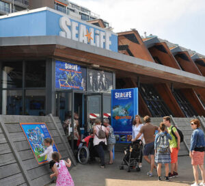 Interactive sandbox at Sea Life