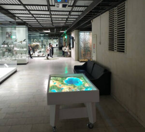 iSandBOX at Darwin Museum in Moscow