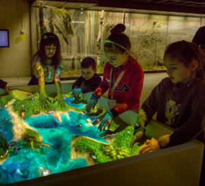 iSandBOX at Darwin Museum