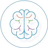 iSandBOX - Cognitive skills